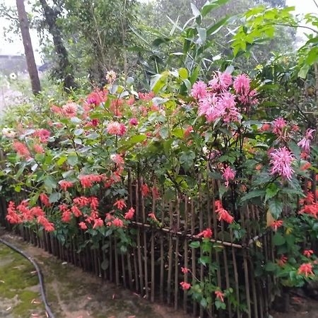 Meikha Homestay Pynursla Dış mekan fotoğraf