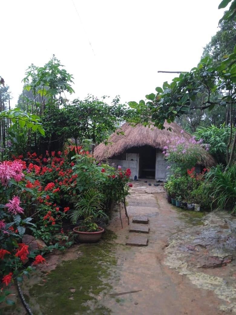 Meikha Homestay Pynursla Dış mekan fotoğraf